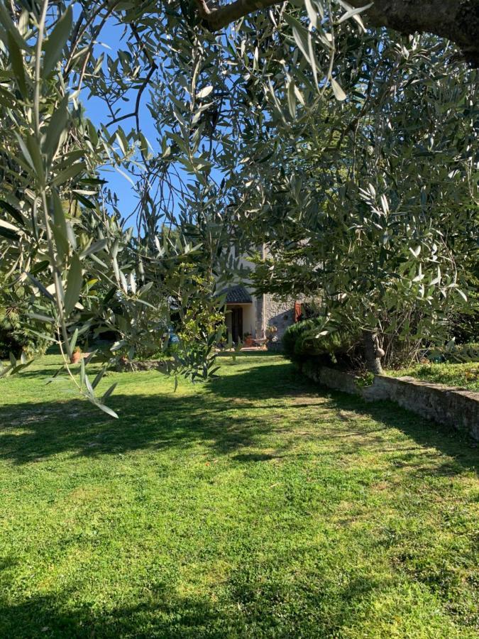 Bed and Breakfast Casale La Civetta Larino Exterior foto